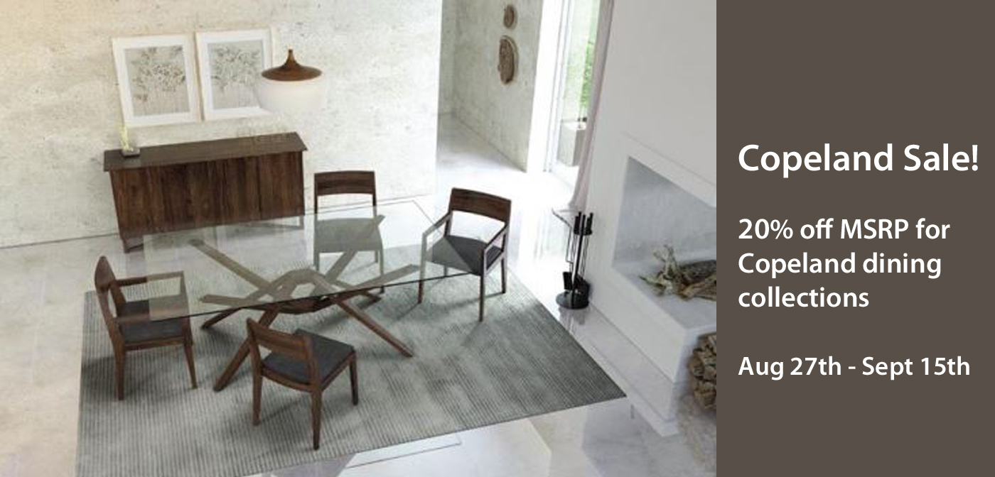 Mobilia Home Page Slide – Copeland Sale