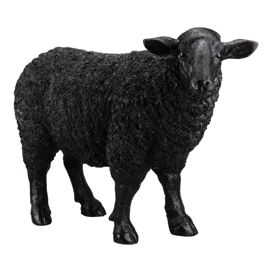 black sheep