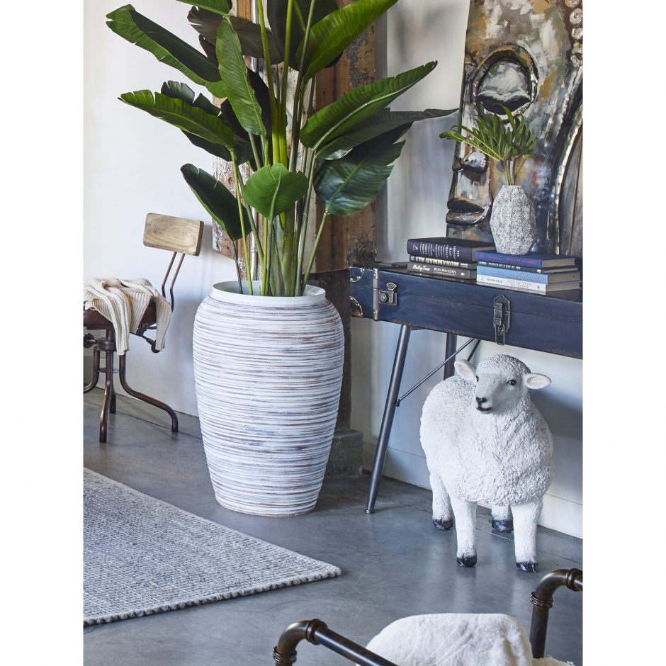 white sheep room