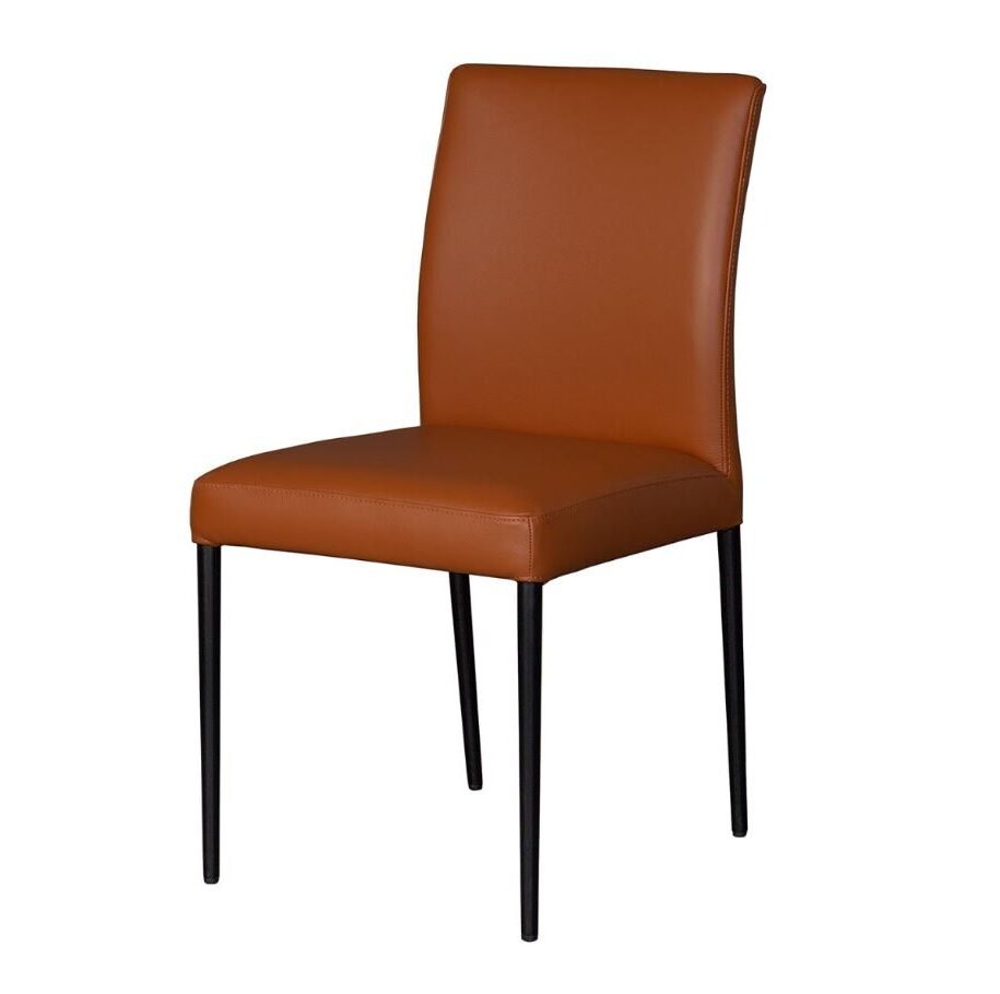 margot3-e1711659187743