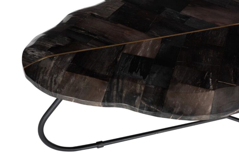 Petrified Wood Leaf 2