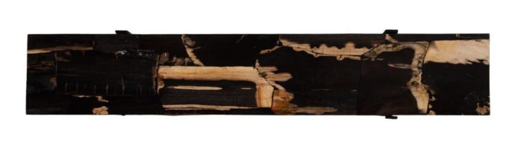 Petrified wood console top